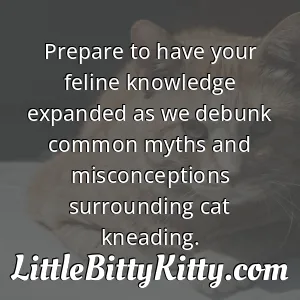 Prepare to have your feline knowledge expanded as we debunk common myths and misconceptions surrounding cat kneading.