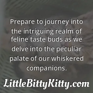 Prepare to journey into the intriguing realm of feline taste buds as we delve into the peculiar palate of our whiskered companions.