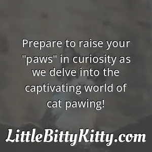 Prepare to raise your "paws" in curiosity as we delve into the captivating world of cat pawing!