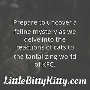 Prepare to uncover a feline mystery as we delve into the reactions of cats to the tantalizing world of KFC.