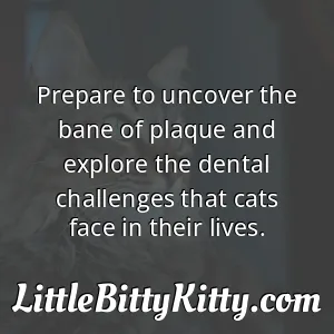 Prepare to uncover the bane of plaque and explore the dental challenges that cats face in their lives.