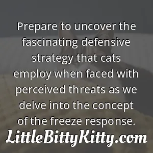Prepare to uncover the fascinating defensive strategy that cats employ when faced with perceived threats as we delve into the concept of the freeze response.
