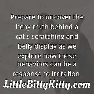 Prepare to uncover the itchy truth behind a cat's scratching and belly display as we explore how these behaviors can be a response to irritation.