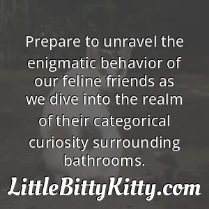Prepare to unravel the enigmatic behavior of our feline friends as we dive into the realm of their categorical curiosity surrounding bathrooms.