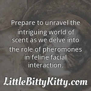 Prepare to unravel the intriguing world of scent as we delve into the role of pheromones in feline facial interaction.