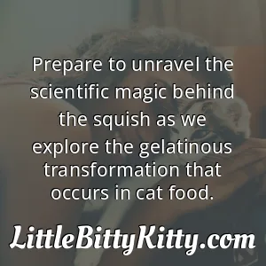 Prepare to unravel the scientific magic behind the squish as we explore the gelatinous transformation that occurs in cat food.