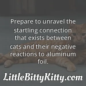 Prepare to unravel the startling connection that exists between cats and their negative reactions to aluminum foil.