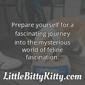 Prepare yourself for a fascinating journey into the mysterious world of feline fascination.