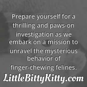Prepare yourself for a thrilling and paws-on investigation as we embark on a mission to unravel the mysterious behavior of finger-chewing felines.