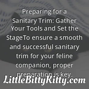 Preparing for a Sanitary Trim: Gather Your Tools and Set the StageTo ensure a smooth and successful sanitary trim for your feline companion, proper preparation is key.