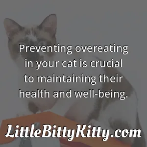 Preventing overeating in your cat is crucial to maintaining their health and well-being.