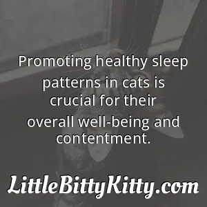 Promoting healthy sleep patterns in cats is crucial for their overall well-being and contentment.
