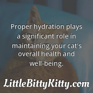 Proper hydration plays a significant role in maintaining your cat's overall health and well-being.