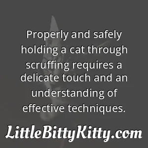 Properly and safely holding a cat through scruffing requires a delicate touch and an understanding of effective techniques.