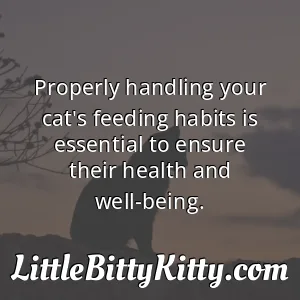 Properly handling your cat's feeding habits is essential to ensure their health and well-being.