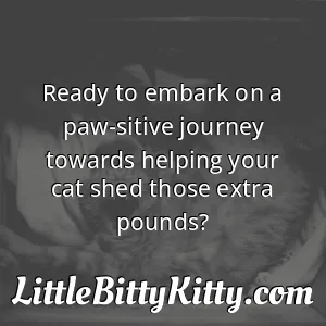 Ready to embark on a paw-sitive journey towards helping your cat shed those extra pounds?