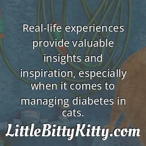 Real-life experiences provide valuable insights and inspiration, especially when it comes to managing diabetes in cats.