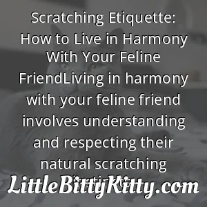Scratching Etiquette: How to Live in Harmony With Your Feline FriendLiving in harmony with your feline friend involves understanding and respecting their natural scratching instincts.