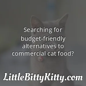 Searching for budget-friendly alternatives to commercial cat food?