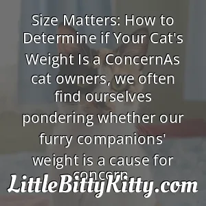 Size Matters: How to Determine if Your Cat's Weight Is a ConcernAs cat owners, we often find ourselves pondering whether our furry companions' weight is a cause for concern.