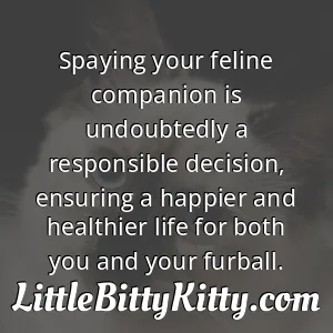 Spaying your feline companion is undoubtedly a responsible decision, ensuring a happier and healthier life for both you and your furball.