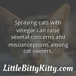 Spraying cats with vinegar can raise several concerns and misconceptions among cat owners.