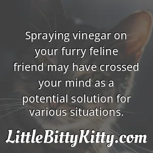 Spraying vinegar on your furry feline friend may have crossed your mind as a potential solution for various situations.