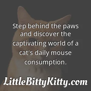 Step behind the paws and discover the captivating world of a cat's daily mouse consumption.