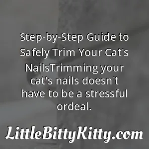Step-by-Step Guide to Safely Trim Your Cat's NailsTrimming your cat's nails doesn't have to be a stressful ordeal.