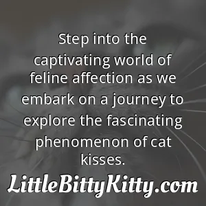 Step into the captivating world of feline affection as we embark on a journey to explore the fascinating phenomenon of cat kisses.
