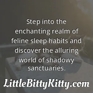Step into the enchanting realm of feline sleep habits and discover the alluring world of shadowy sanctuaries.