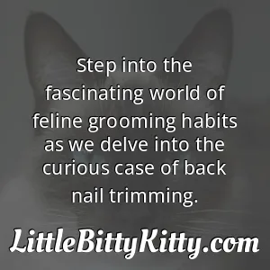 Step into the fascinating world of feline grooming habits as we delve into the curious case of back nail trimming.