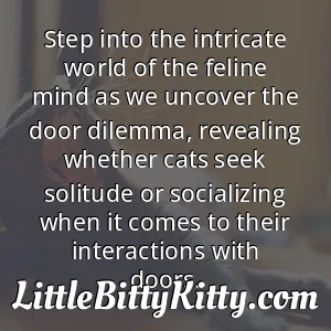 Step into the intricate world of the feline mind as we uncover the door dilemma, revealing whether cats seek solitude or socializing when it comes to their interactions with doors.