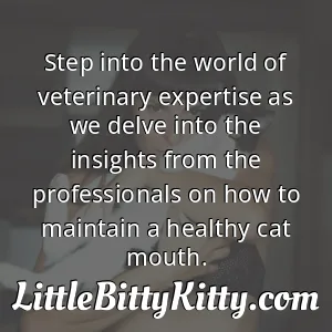 Step into the world of veterinary expertise as we delve into the insights from the professionals on how to maintain a healthy cat mouth.