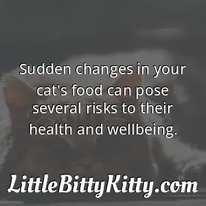 Sudden changes in your cat's food can pose several risks to their health and wellbeing.