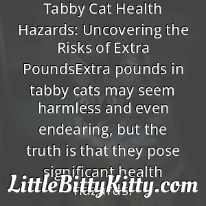 Tabby Cat Health Hazards: Uncovering the Risks of Extra PoundsExtra pounds in tabby cats may seem harmless and even endearing, but the truth is that they pose significant health hazards.