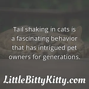 Tail shaking in cats is a fascinating behavior that has intrigued pet owners for generations.