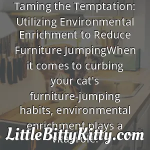 Taming the Temptation: Utilizing Environmental Enrichment to Reduce Furniture JumpingWhen it comes to curbing your cat's furniture-jumping habits, environmental enrichment plays a vital role.