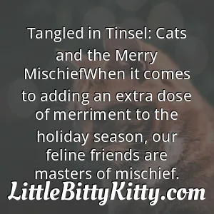 Tangled in Tinsel: Cats and the Merry MischiefWhen it comes to adding an extra dose of merriment to the holiday season, our feline friends are masters of mischief.