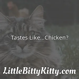 Tastes Like...Chicken?