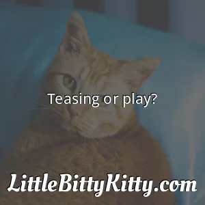 Teasing or play?