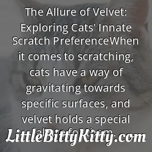 The Allure of Velvet: Exploring Cats' Innate Scratch PreferenceWhen it comes to scratching, cats have a way of gravitating towards specific surfaces, and velvet holds a special allure for them.