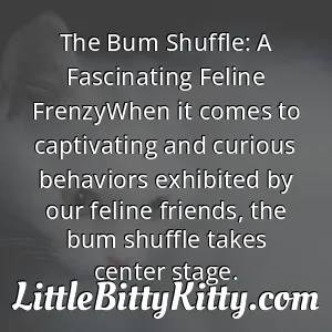 The Bum Shuffle: A Fascinating Feline FrenzyWhen it comes to captivating and curious behaviors exhibited by our feline friends, the bum shuffle takes center stage.