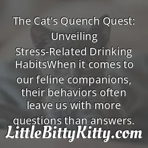 The Cat's Quench Quest: Unveiling Stress-Related Drinking HabitsWhen it comes to our feline companions, their behaviors often leave us with more questions than answers.