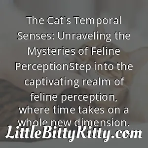 The Cat's Temporal Senses: Unraveling the Mysteries of Feline PerceptionStep into the captivating realm of feline perception, where time takes on a whole new dimension.
