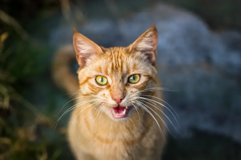 The Catnip Conundrum: Do Cats Eat It or Simply Smell It?