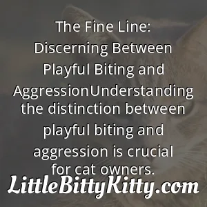 The Fine Line: Discerning Between Playful Biting and AggressionUnderstanding the distinction between playful biting and aggression is crucial for cat owners.