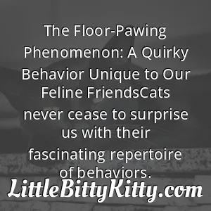 The Floor-Pawing Phenomenon: A Quirky Behavior Unique to Our Feline FriendsCats never cease to surprise us with their fascinating repertoire of behaviors.