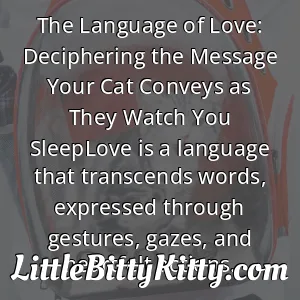 The Language of Love: Deciphering the Message Your Cat Conveys as They Watch You SleepLove is a language that transcends words, expressed through gestures, gazes, and heartfelt actions.