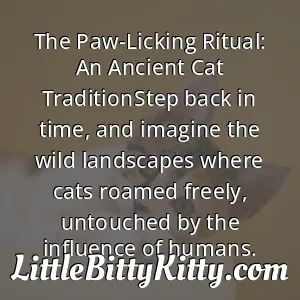 The Paw-Licking Ritual: An Ancient Cat TraditionStep back in time, and imagine the wild landscapes where cats roamed freely, untouched by the influence of humans.